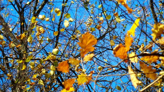 20151011 204636
