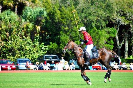 Horse rider player