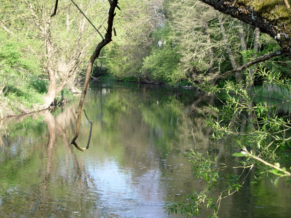 2015-05-02 Fränkische Saale bei Diebach