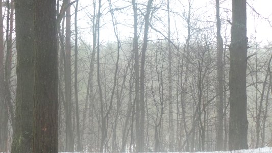 2015-02-25 16.39.36