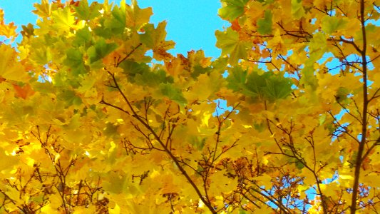 20151011 205426