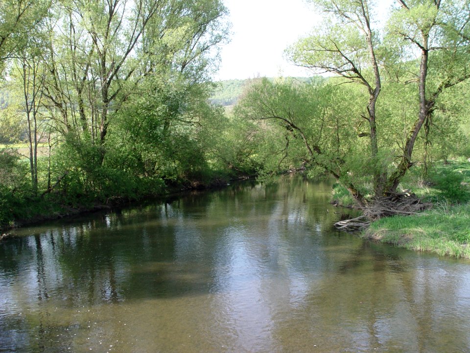 2015-05-02 Fränkische Saale bei Diebach