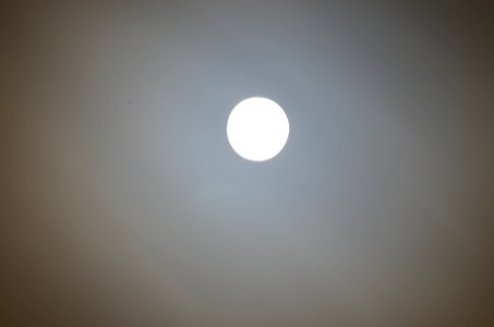 DSC 1010