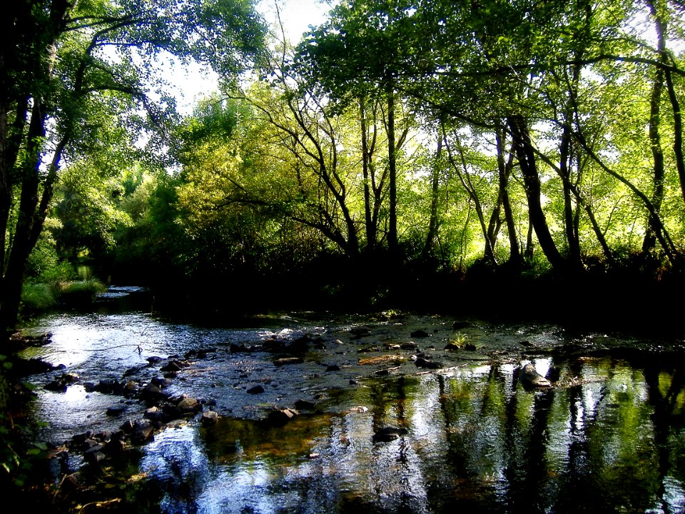 Cae a tarde no río Furelos