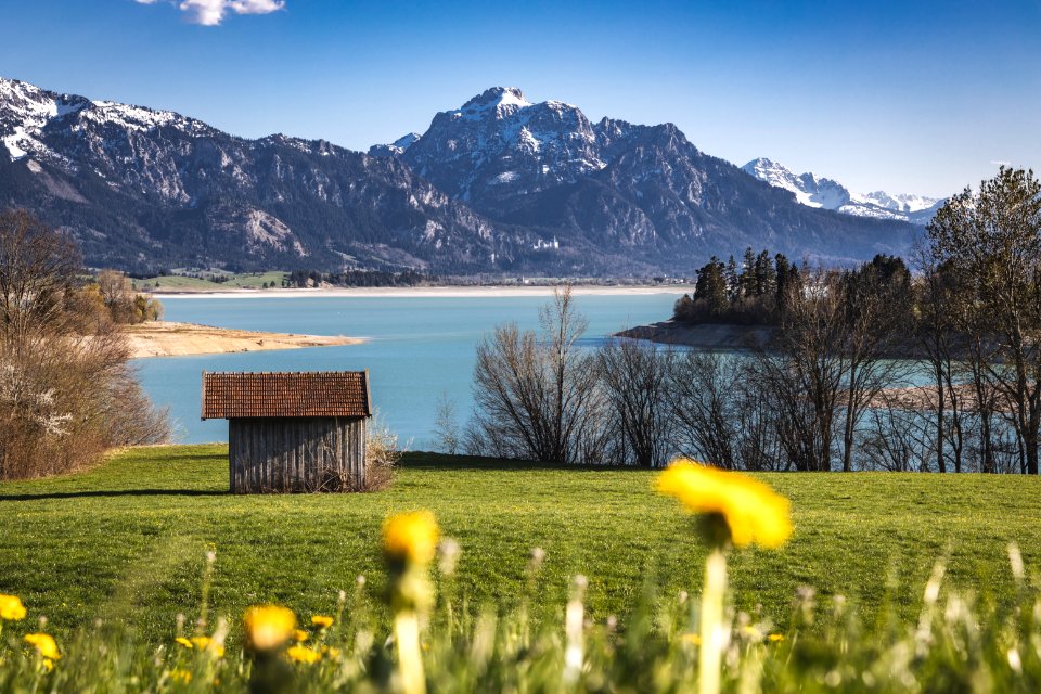 Frühling am Forggensee