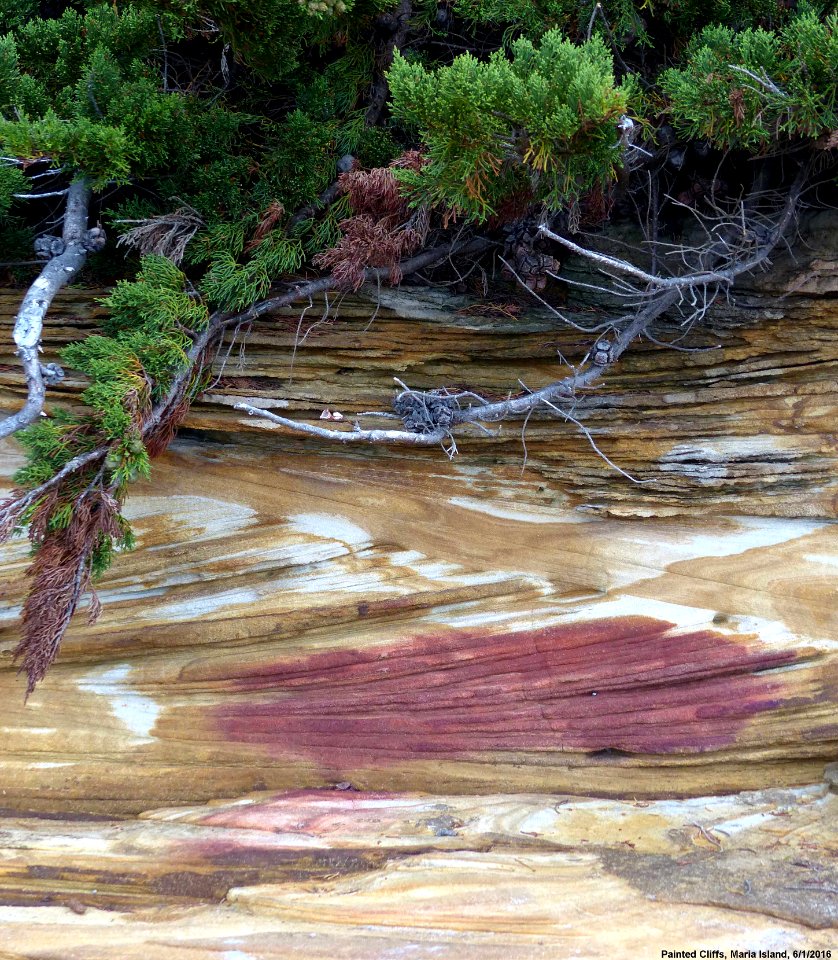 20160106-13z Painted cliffs, Maria Island