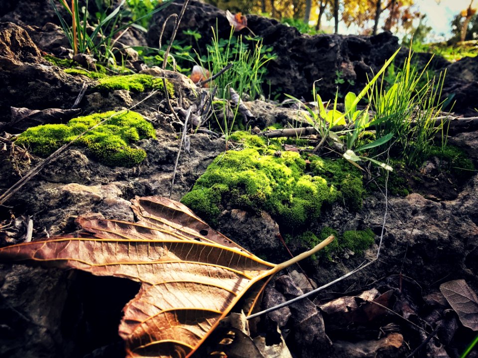 Campo en el Parc Bit
