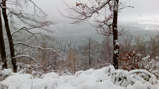 Winter wonderland