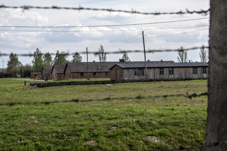 Voltage fencing barbed wire
