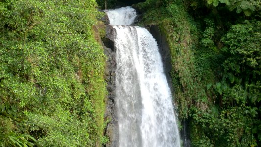 Dominica (Caribbean) - Trafalgar Falls - double-falls photo