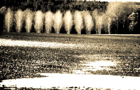 PICT0098.jpg