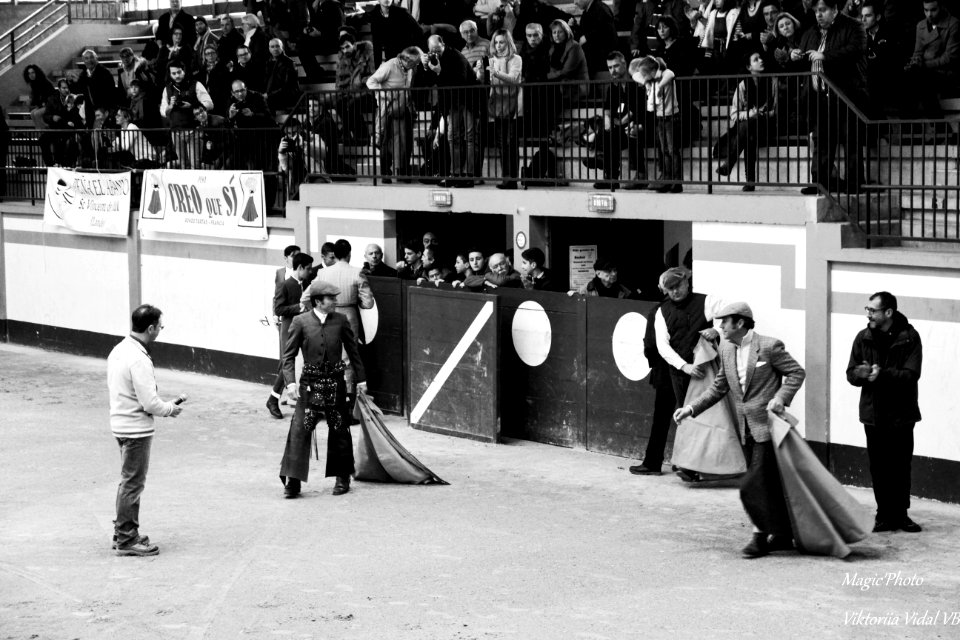 Accueil des Matadors aîné- (France)