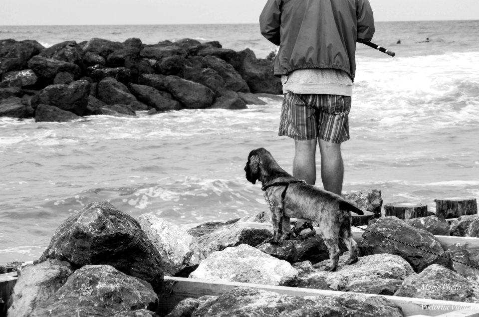 ..à la pêche