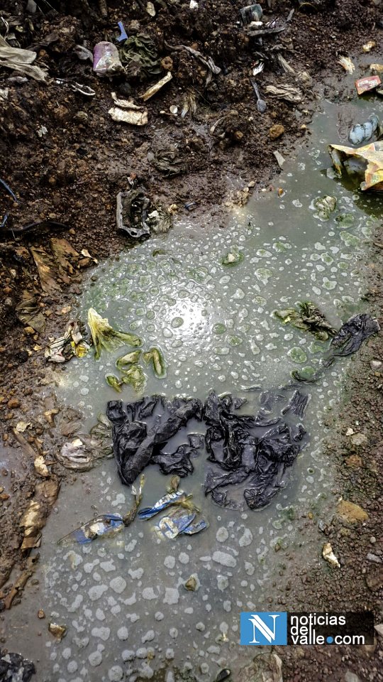Colapsa planta de tratamiento de desechos sólidos en bosque municipal