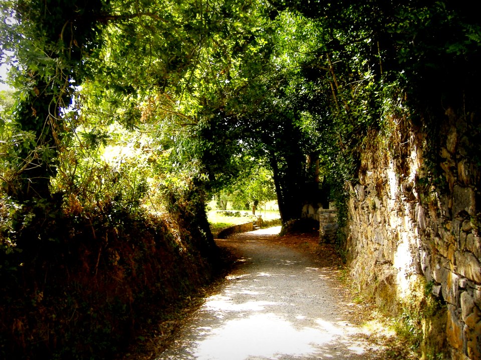 Túnel natural (Camiño de Santiago en Santa María de Melide, A Coruña)