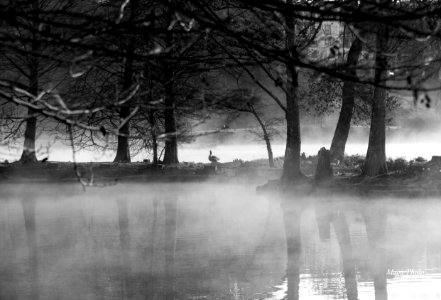 ..sous la brume
