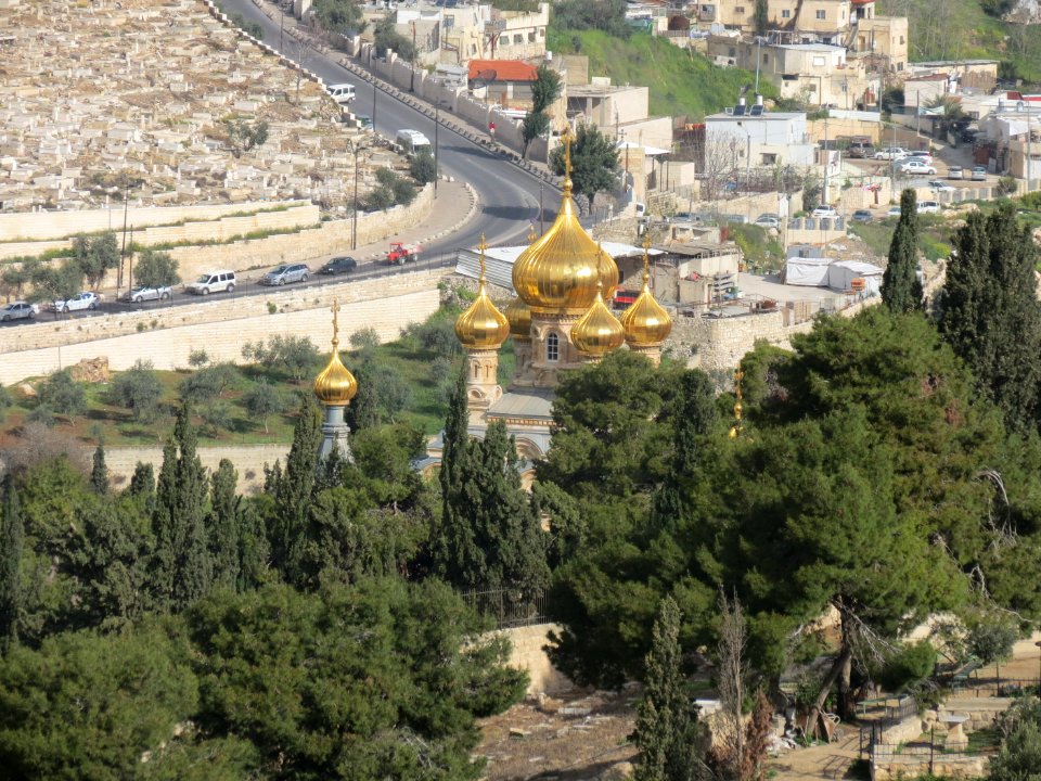 1535 Dal monte degli Ulivi (6)
