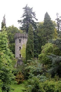Tower fairytale forest photo