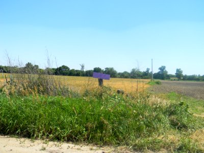 No Trespassing 4