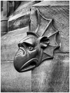 Gargouille cathedrale Strasbourg2