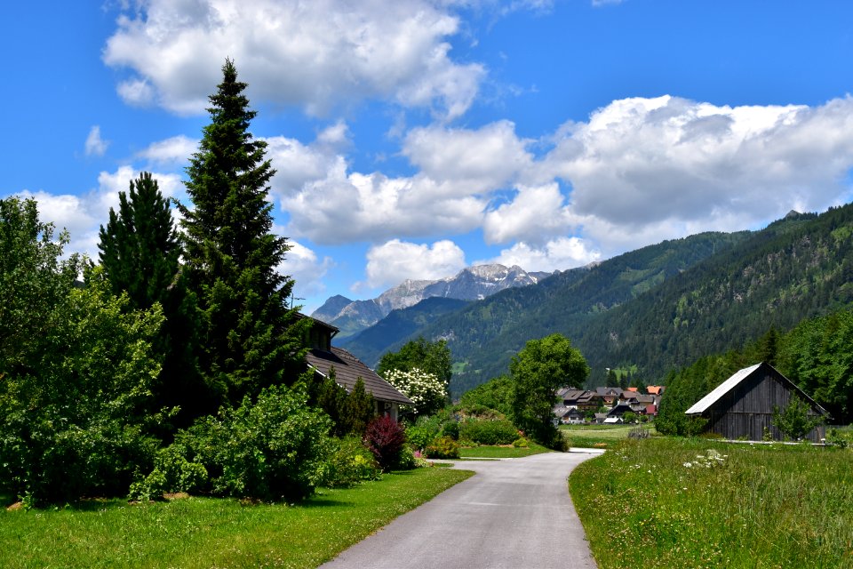StMichael 2018 06 035