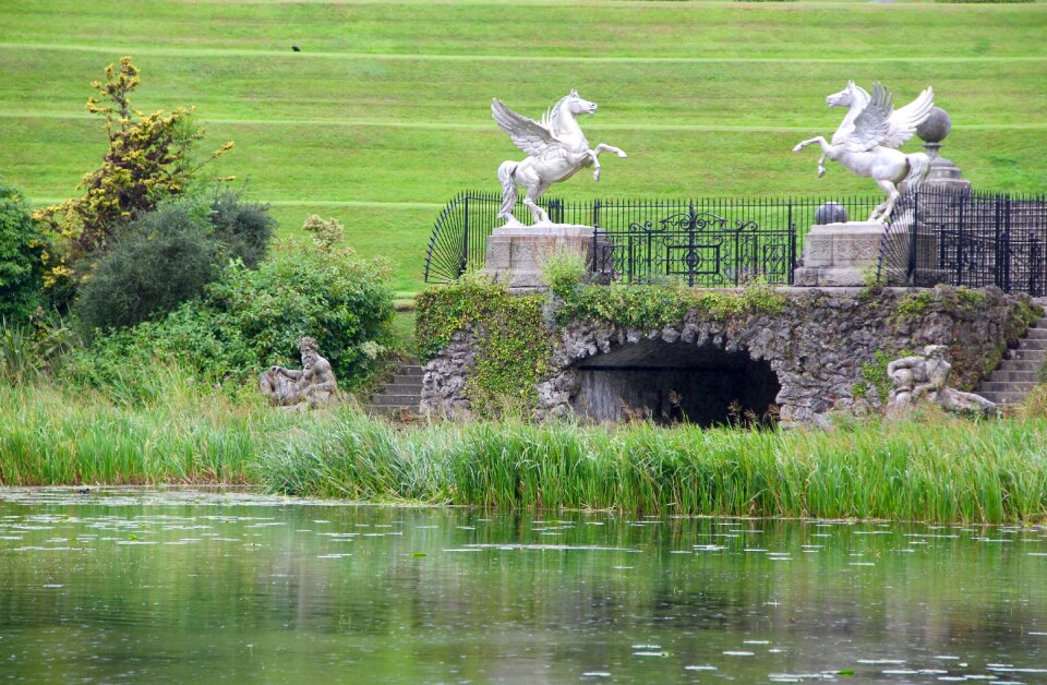Lake horses scenery