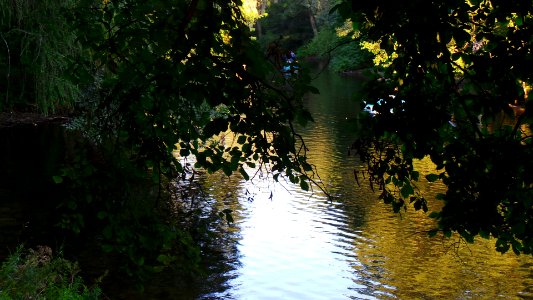 2014-08-06 20.25.43