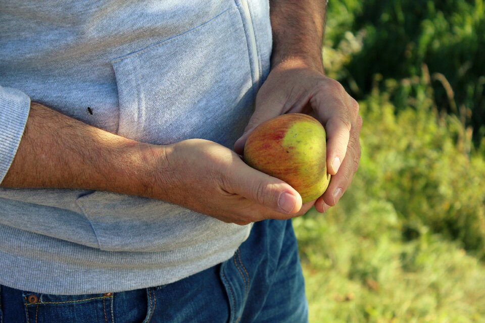 Hands autumn fruit
