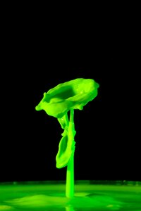 Water feature green spray