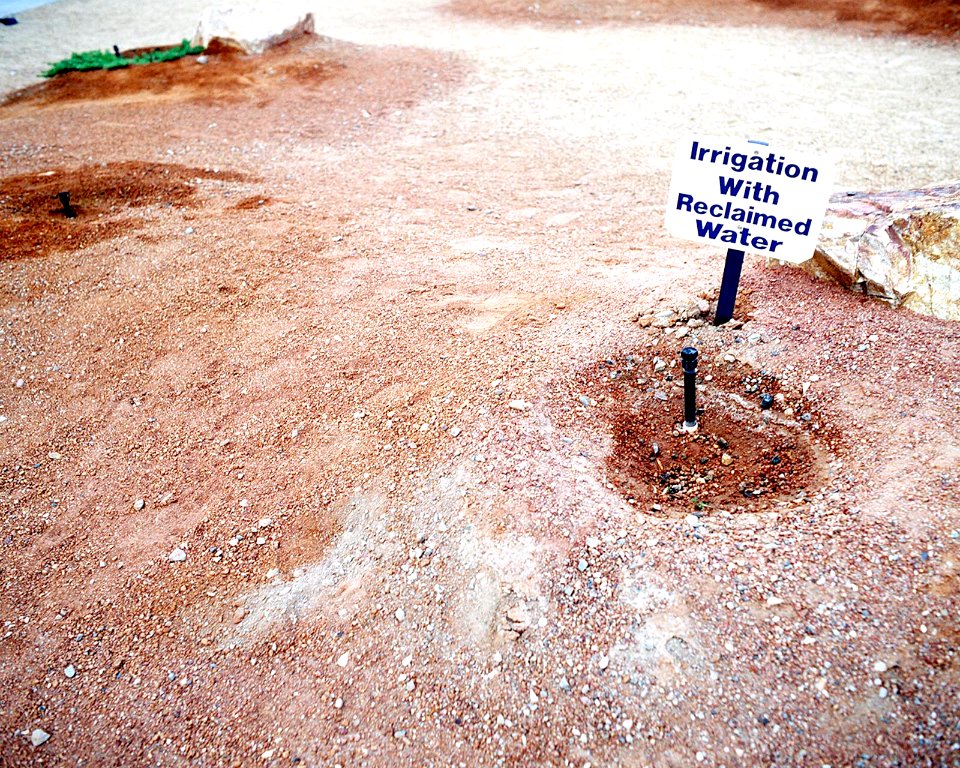 Reclaimed water being used in an irrigation drip system
