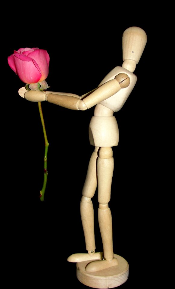 Still life doll design
