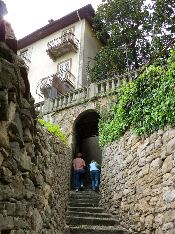 Scaletta delle more