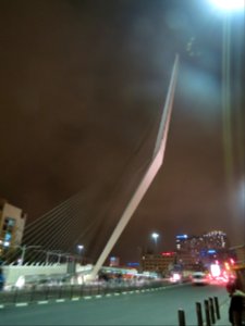 1105 Ponte di Calatrava (2)
