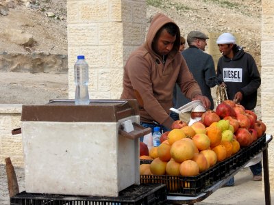 1150 Wadi al-Qilt (9)