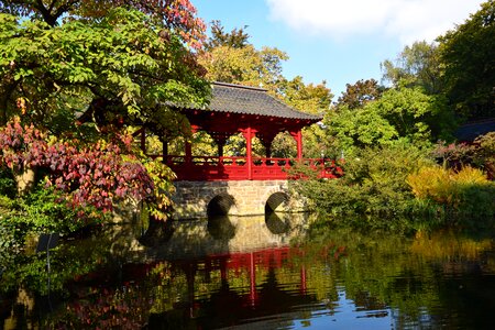 Japanese garden pond relaxation
