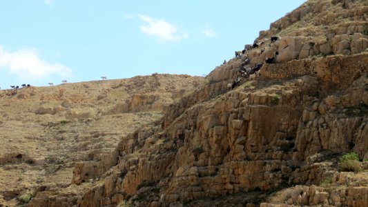 1330 Wadi al-Qilt (45) photo