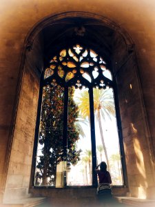 Ventanas de La Lonja