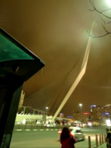 1100 Ponte di Calatrava (1) photo