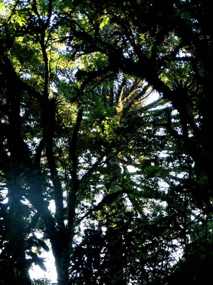 DSC00482 flickr