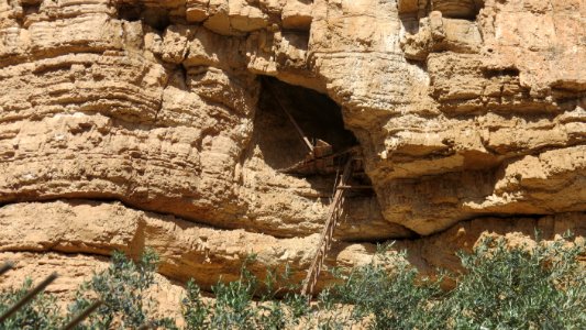 1205 Wadi al-Qilt (20) photo