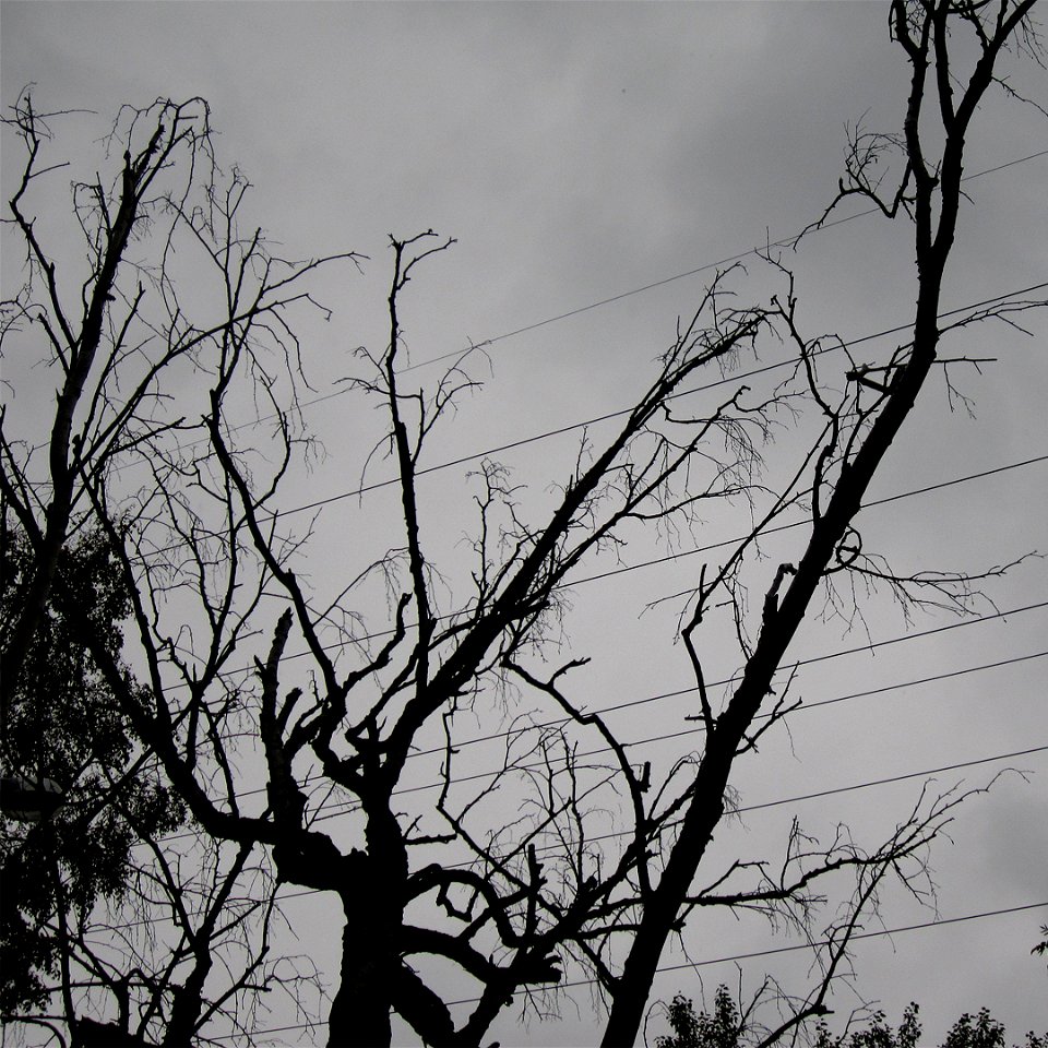 Convulsive twitching of strings