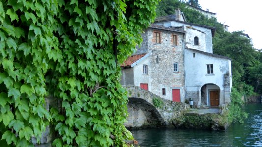 Nesso (7)