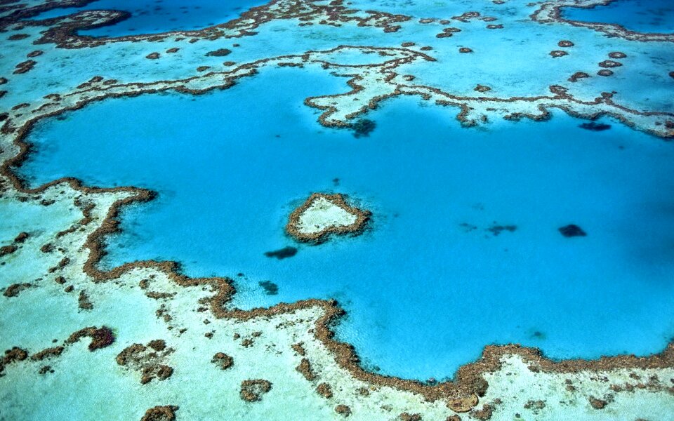 Island corals atoll