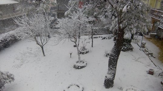 neve a Pescara photo