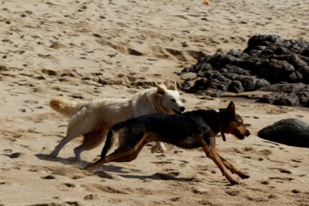 lunática con amigo corriendo