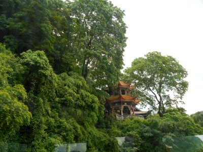 DSCN0090