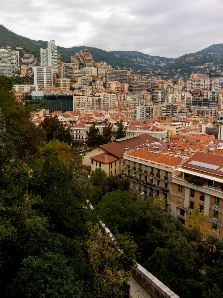 Monte-Carlo photo