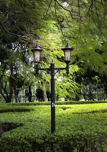 Street lamp park lamp photo