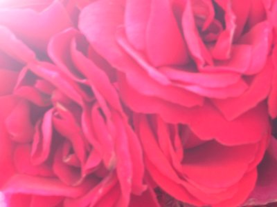 Blumen