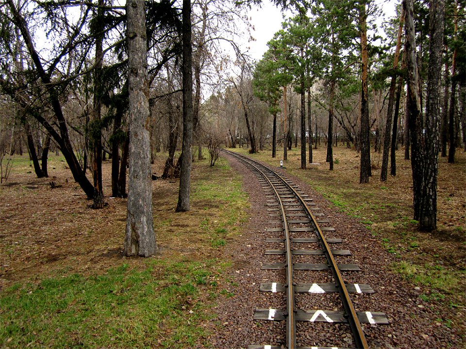 Narrow-gauge railway